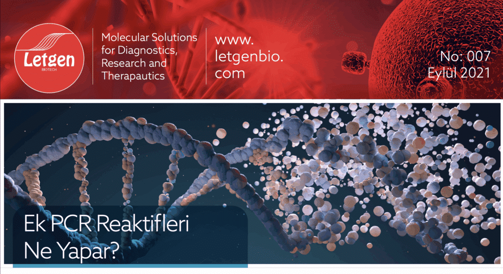 Ek PCR Reaktifleri Ne Yapar