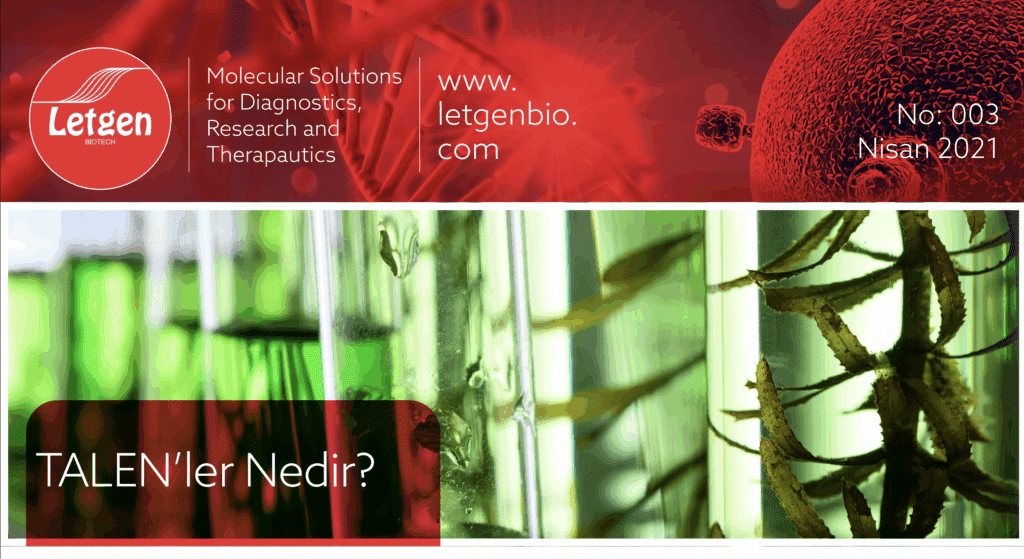 Ekran Resmi 2025 08 18 17.29.56