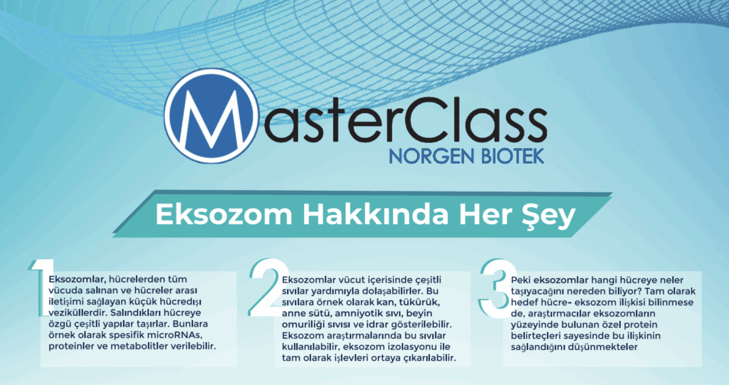 Eksozom Hakkinda Her Sey