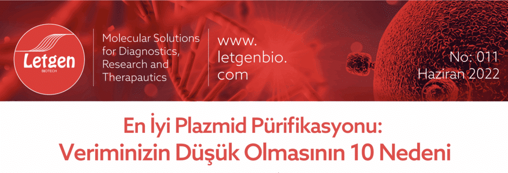 En Iyi Plazmid Purifikasyonu Veriminizin Dusuk Olmasinin 10 Nedeni