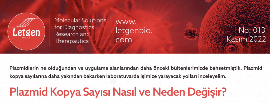Plazmid Kopya Sayisi Nasil ve Neden Degisir