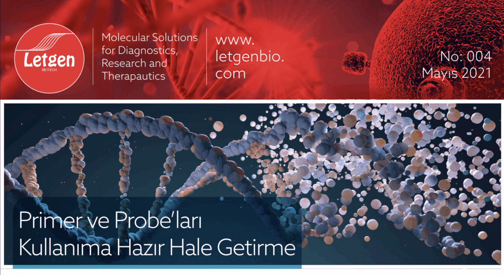 Primer ve Probelari Kullanima Hazir Hale Getirme