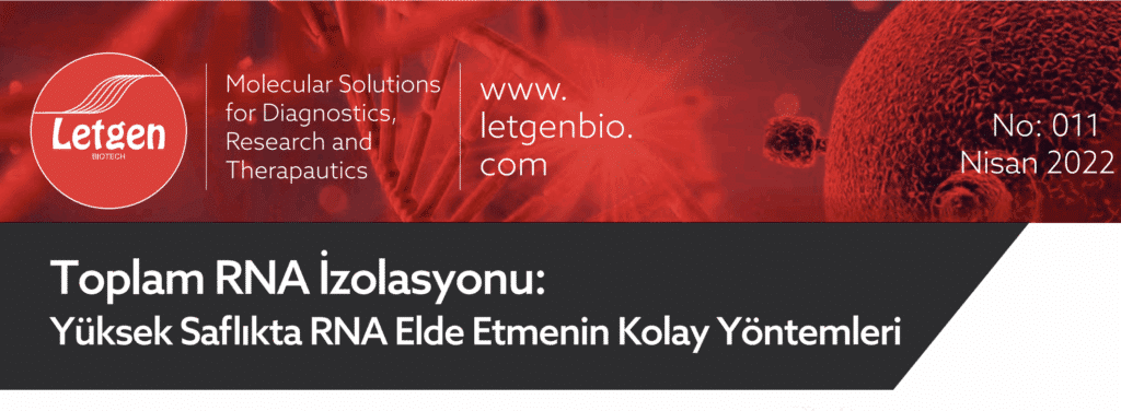 Toplam RNA Izolasyonu Yuksek Saflikta RNA Elde Etmenin Kolay Yontemleri
