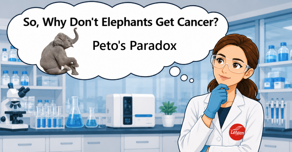 Why Dont Elephants Get Cancer
